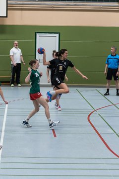 Bild 149 - Damen HSG Kremperheide/M�nsterdorf - Suchsdorfer SV : Ergebnis: 39:22
